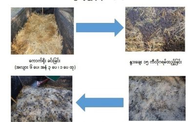 လယ်ယာစွန့်ပစ်ပစ္စည်းများမှသည် အစားအစာလုံခြုံမှုဆီသို့