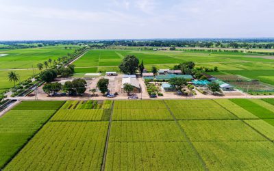 စိန်ခေါ်ရာသီ နှင့် လိုက်လျောညီသည့် သုတေသနမှ သီးနှံမျိုးများအကြောင်း