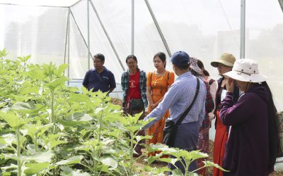 တပ်ကုန်းစိုက်ပျိုးရေးသုတေသနခြံသို့မွန်ပြည် နယ်၊ စိုက်ပျိုးရေးဦးစီးဌာနမှ နေကြာသီးနှံ သုတေသနလုပ်ငန်းများ လာရောက် လေ့လာသင်ယူလျက်ရှိသောသင်တန်းသားများ သွား ရောက် လေ့လာခြင်း
