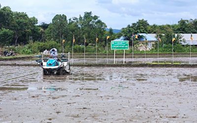 ကောက်စိုက်စက်ဖြင့်စပါးစိုက်ပျိုးခြင်းကွင်းသရုပ်ပြပွဲကျင်းပ