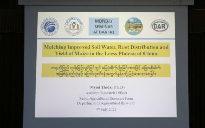 တရုတ်ပြည်မြောက်ပိုင်း ကုန်းမြင့်လွင်ပြင်တွင် မြေဖုံးစိုက်ပျိုးခြင်းအားဖြင့် မြေအစိုဓါတ်၊ အမြစ်ဖွဲ့စည်းပုံနှင့် ပြောင်းဖူးသီးနှံအထွက်နှုန်းတို့ မြင့်မားလာစေခြင်း￼