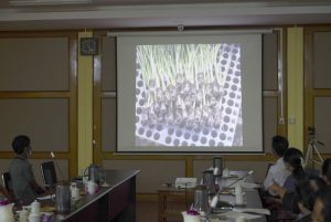 DSC09496