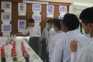 IMG_9682