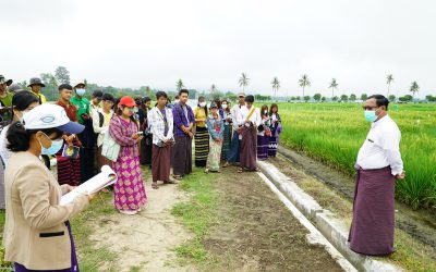 လူငယ်သုတေသီများအတွက် Plants’ Doctor Program စတင်ဆောင်ရွက်ခြင်း