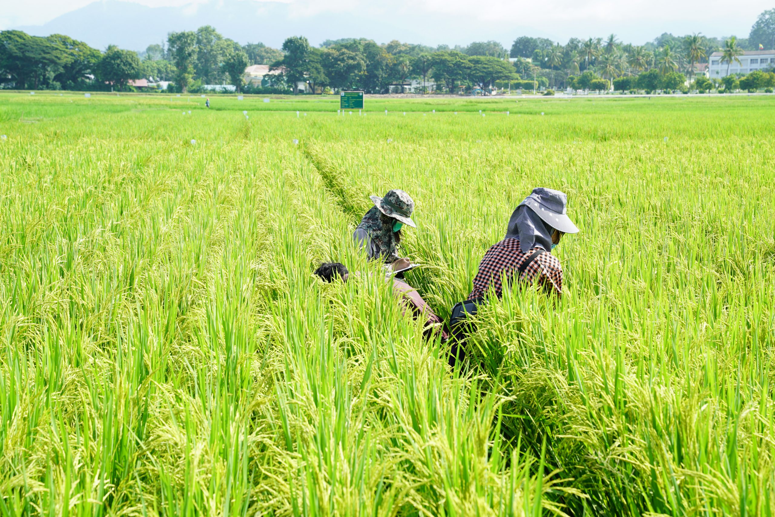 DSC00856
