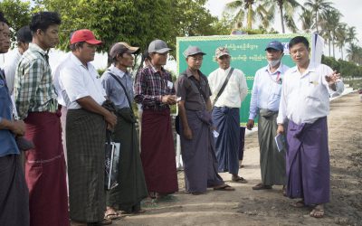 ပျဉ်းမနားမြို့နယ်တွင်းမှ တောင်သူများ စပါးသားတက်ဆင့်ပွားစိုက်ပျိုးနည်းဖြင့် စိုက်ပျိုးထားရှိ မှုအား လာရောက်လေ့လာခြင်း
