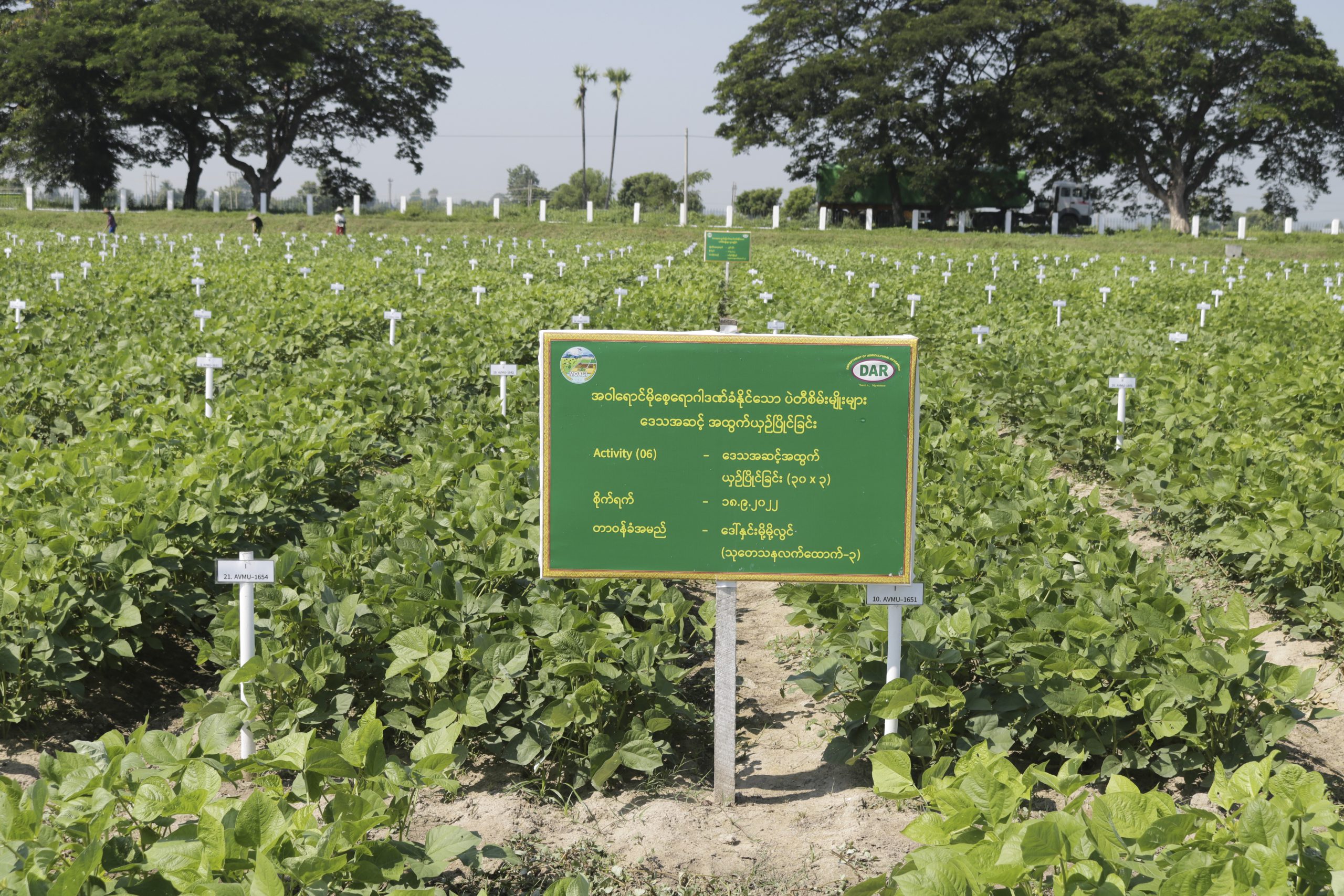 1a