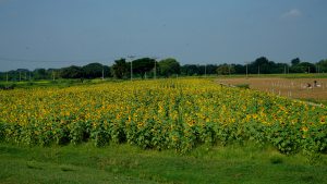 DSC03511