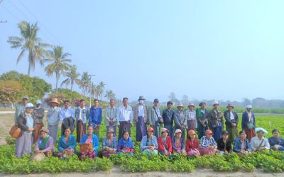 ချောင်းမငယ် ဆည်ရေသောက် ဒေသမှ တောင်သူများ တစ်နှစ်သုံးသီး သီးနှံ စံပြစိုက်ခင်း များ သို့ လာရောက် လေ့လာခြင်း
