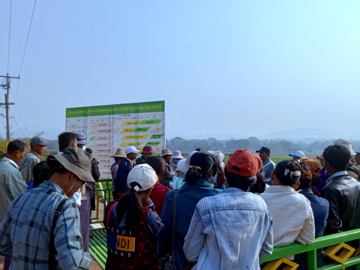 viber_image_2023-01-29_13-56-20-782