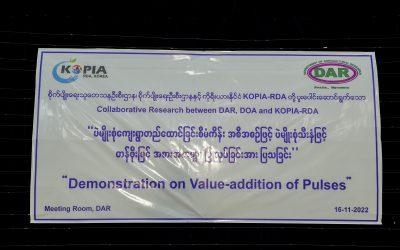 ပဲမျိုးစုံသီးနှံ တန်ဖိုးမြင့် ထုတ်ကုန် အစားအစာများ မိတ်ဆက်ပြသခြင်း အခမ်းအနားကျင်းပခြင်း