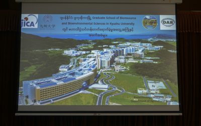စပါးအစေ့တွင်းစာရှိ flo3 ဗီဇနှင့် ဆက်စပ်သည့် ကဆီဓာတ်ဖွဲ့စည်းတည်ဆောက်ပုံဆိုင်ရာ ရုပ်သွင်ပြင်လက္ခဏာနှင့် ဗီဇအချက်အလက်များကို ခွဲခြားလေ့လာခြင်း ခေါင်းစဉ်ဖြင့် စာတမ်းဖတ်ကြားခြင်း