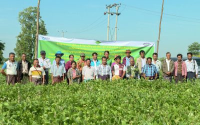 စိုက်ပျိုးရေးသုတေသနဦးစီးဌာနမှ ထုတ်ဝေထားသည့် ပဲပုပ်မျိုး (ရေဆင်း ၁၅) စိုက်ပျိုးထားရှိမှုအား လယ်ဝေးမြို့နယ်အတွင်းရှိ တောင်သူများနှင့် မိတ်ဆက်ပြသခြင်း