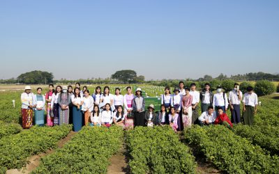 စိုက်ပျိုးရေးသုတေသနဦးစီးဌာန ယာသီးနှံ သုတေသနခွဲ ဆီထွက်သီးနှံသုတေသနဌာနစုသို့ စိုက်ပျိုးရေးတက္ကသိုလ် မှ ကျောင်းသားကျောင်းသူများလာရောက်လေ့လာ ခြင်း