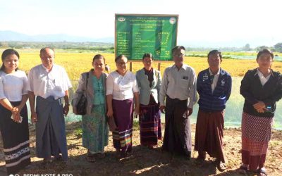 စိုက်ပျိုးရေးသုတေသနဦးစီးဌာနနှင့် မွေးမြူရေးသုတေသန ဦးစီးဌာနတို့ ပူးပေါင်းဆောင်ရွက်သည့် စပါး၊ငါး သုတေသနစိုက်ခင်းသို့ သက်ဆိုင်ရာညွှန်ကြားရေးမှူးများ ကွင်းဆင်းစစ်ဆေးခြင်း