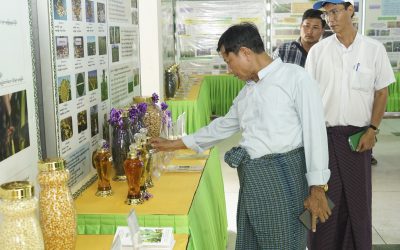 စိုက်ပျိုးရေးမွေးမြူရေးနှင့်ဆည်မြောင်းဝန်ကြီးဌာန ဒုတိယဝန်ကြီးဒေါက်တာတင်ထွဋ် စိုက်ပျိုးရေးသုတေသနဦးစီးဌာန တွင်သုတေသနပြုဆောင်ရွက်ထားရှိမှုများအား သွားရောက်ကြည့်ရှုစစ်ဆေး