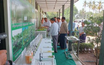 စိုက်ပျိုးရေးမွေးမြူရေးနှင့်ဆည်မြောင်းဝန်ကြီးဌာနပြည်ထောင်စုဝန်ကြီးဦးမင်းနောင်စိုက်ပျိုးရေးသုတေသနဦးစီးဌာန တပ်ကုန်းစိုက်ပျိုးရေးသုတေသနခြံသို့ သုတေသနဆောင်ရွက်ထားရှိမှု များအား ကွင်းဆင်းကြည်ရှုစစ်ဆေး