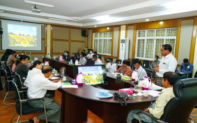 ပြောင်းသီးနှံစိုက်ပျိုးထုတ်လုပ်မှု တိုးတက်မြင့်မားရေး ညှိနှိုင်းအစည်းအဝေးကျင်းပခြင်း