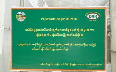 ဥယျာဉ်ခြံသုတေသနဌာနခွဲ၊ ဟင်းသီးဟင်းရွက် သုတေသနဌာနစုတွင် တန်ဖိုးမြှင့် ဟင်းသီး ဟင်းရွက်များ တစ်နှစ်ပတ်လုံး အမိုးအကာ ဖြင့် စဉ်ဆက်မပြတ် စိုက်ပျိုး ထုတ်လုပ်ခြင်း သုတေ သနများဆောင်ရွက်လျက်ရှိခြင်း