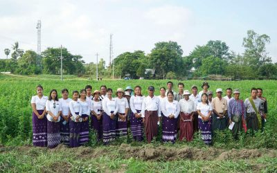 မြေဆီလွှာဖွံ့ဖြိုးတိုးတက်ကောင်းမွန်စေရန် သရုပ်ပြစိုက်ပျိုးထားသောသစ်စိမ်းမြေဩဇာ (ပိုက်ဆံလျှော်)အား ထယ်မှောက်ခြင်း အခမ်းအနားကျင်းပခြင်း