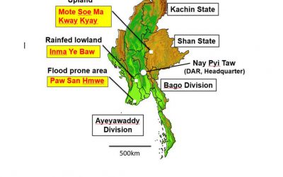 Strengthening Rice Breeding System based on Genomic Technology and Information in Myanmar Rice genome breeding system for developing rice plant for non-irrigated area