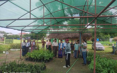 စိုက်ပျိုးရေး သုတေသန ဦးစီးဌာန ဩဂဲနစ်သုတေသန ဗဟိုဌာနတွင် သုတေသန ဆောင်ရွက်နေမှုအခြေအနေများအား ညွှန်ကြားရေးမှူးချုပ် မှ ကွင်းဆင်းကြည့်ရှုစစ်ဆေးခြင်း