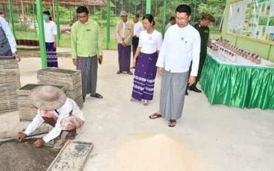 ဧရာဝတီတိုင်းဒေသကြီးအစိုးရအဖွဲ့ ဝန်ကြီးချုပ်ဦးတင်မောင်ဝင်းနှင့်အစိုးရအဖွဲ့ဝန်ကြီးများသည် စိုက်ပျိုးရေးသုတေသနဦးစီးဌာန၊ ဒေသသုတေသနဗဟိုဌာန၊ မြောင်းမြတွင်ဆောင်ရွက်နေသည့် သုတေသနလုပ်ငန်းများအားကွင်းဆင်းကြည့်ရူ့အားပေးခြင်း