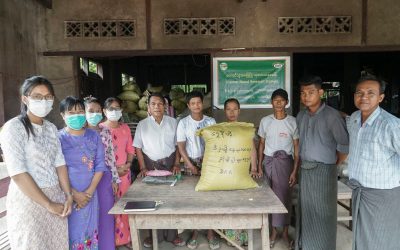 စိုက်ပျိုးရေးသုတေသနဦးစီးဌာနမှ ပညာရှင်များ ဂုဏ်မင်းမြှောင်ကျေးရွာ ရှိတောင်သူ အခြေပြု သုတေသန စခန်းတွင် မိုးစပါးအတွက် မျိုးစေ့ ပေးအပ်ခြင်း
