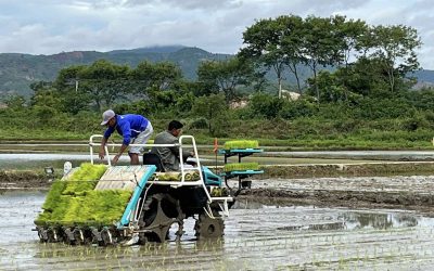 KUBOTA ကောက်စိုက်စက်ဖြင့် မိုးစပါးစိုက်ပျိုးခြင်း ကွင်းသရုပ်ပြပွဲ ကျင်းပခြင်း