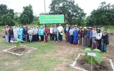 စိုက်ပျိုးရေးသုတေသနဦးစီးဌာနတွင် မိုးရာသီသစ်ပင်စိုက်ပွဲကျင်းပခြင်း