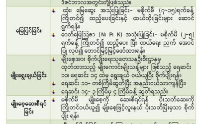 ဘေးကင်းလုံခြုံအထွက်တိုး ပဲတီစိမ်း စိုက်ပျိုးထုတ်လုပ်မှုနည်းပညာ