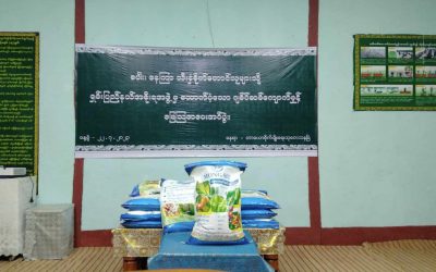 စပါး၊နေကြာသီးနှံစိုက်တောင်သူများသို့ ရှမ်းပြည်နယ်အစိုးရမှထောက်ပံ့သော ဂျစ်ပ်ဆမ်ကျောက်မှုန့်မြေဩဇာပေးအပ်ပွဲအခမ်းအနားကျင်းပခြင်း