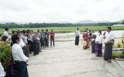 စိုက်ပျိုးရေးသုတေသနဦးစီးဌာန စပါးဇီဝဥယျာဉ် သုတေသနဌာနစုသို့ ဆန်စပါးကြိတ်ခွဲထုတ်လုပ်ရေး နည်းပညာဆိုင်ရာ ကျွမ်းကျင်မှု သင်တန်းမှ သင်တန်းသားများ လာရောက်လေ့လာခြင်း
