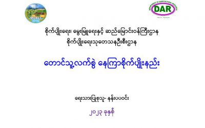 တောင်သူ့လက်စွဲနေကြာစိုက်ပျိုးနည်း