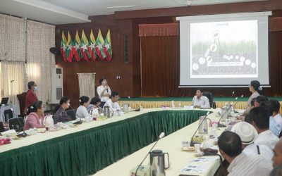 ဒုတိယအကြိမ်မြောက် တောင်သူနည်းပညာ နှီးနှောဖလှယ်ပွဲကျင်းပ (မိုး စပါးအခြောက်စိုက်ခင်းများတွင် ဖိုးလမင်းကျိုင်းများ ကျရောက်နေမှုအတွက် ကြိုတင်ကာကွယ် ခြင်းနှင့် နှိမ်နင်းနည်း စနစ် များအကြောင်း ဆွေးနွေးခြင်း