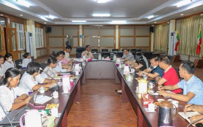 တရုတ်နိုင်ငံ Guangxi Academy of Agricultural Sciences (GXAAS) ၏ အထောက်အပံ့ဖြင့် တရုတ်-မြန်မာ စပါးအရည်အသွေးဖွံ့ဖြိုးတိုးတက်ရေးစင်တာ“Sino (Guangxi) – Myanmar Rice Quality Improvement Center” ထူထောင်ရန်နှင့် သုတေသနလုပ်ငန်းများ အတူတကွ ပူးပေါင်းဆောင်ရွက်ရန် ညှိနှိုင်းဆွေးနွေးခြင်း