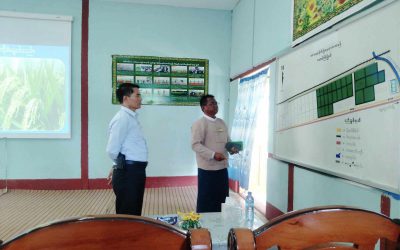စိုက်ပျိုးရေး၊ မွေးမြူရေးနှင့် ဆည်မြောင်းဝန်ကြီးဌာန ပြည်ထောင်စုဝန်ကြီးစိုက်ပျိုးရေးသုတေသနဦးစီးဌာန၊ တာယောစိုက်ပျိုးရေးသုတေသနခြံတွင် ဆောင်ရွက်လျက်ရှိ သည့် သုတေသနများအား ကွင်းဆင်းစစ်ဆေးခြင်း