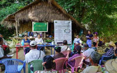 အသက်ရက်တိုသည့် ဆင်းသုခ သက်တမ်းတို စပါးမျိုး လိုင်း များအား တောင်သူများပူးပေါင်းပါဝင်သည့် မျိုးရွေးချယ် ပွဲ ကျင်းပခြင်း