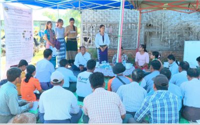 ရမည်းသင်းမြို့နယ် တောင်သူ့စိုက်ကွင်း တွင် ဆင်းသုခ သက်တမ်းတို စပါးမျိုး လိုင်း များအား တောင် သူများ ပူးပေါင်းပါဝင်မျိုးရွေးချယ်ခြင်း