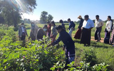 ကွင်းသရုပ်ပြပွဲ ( Field Day Activity )ကျင်းပပြုလုပ်ခြင်း