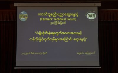ပဲမျိုးစုံသီးနှံ ဈေးကွက် အလားအလာနှင့် တန်ဖိုးမြှင့် ထုတ်ကုန်များ အကြောင်း ဆွေးနွေးပွဲကျင်းပခြင်း